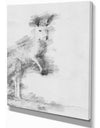 Black and White Kangaroo Sketch - Animals Painting Print on Wrapped Canvas