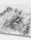 Black and White Iguana Sketch - Animals Painting Print on Wrapped Canvas