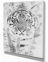 Black and White Tiger Sketch - Animals Painting Print on Wrapped Canvas