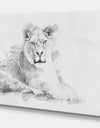 Black and White Lion Sketch - Animals Painting Print on Wrapped Canvas