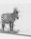 Black and White Zebra Sketch - Animals Painting Print on Wrapped Canvas