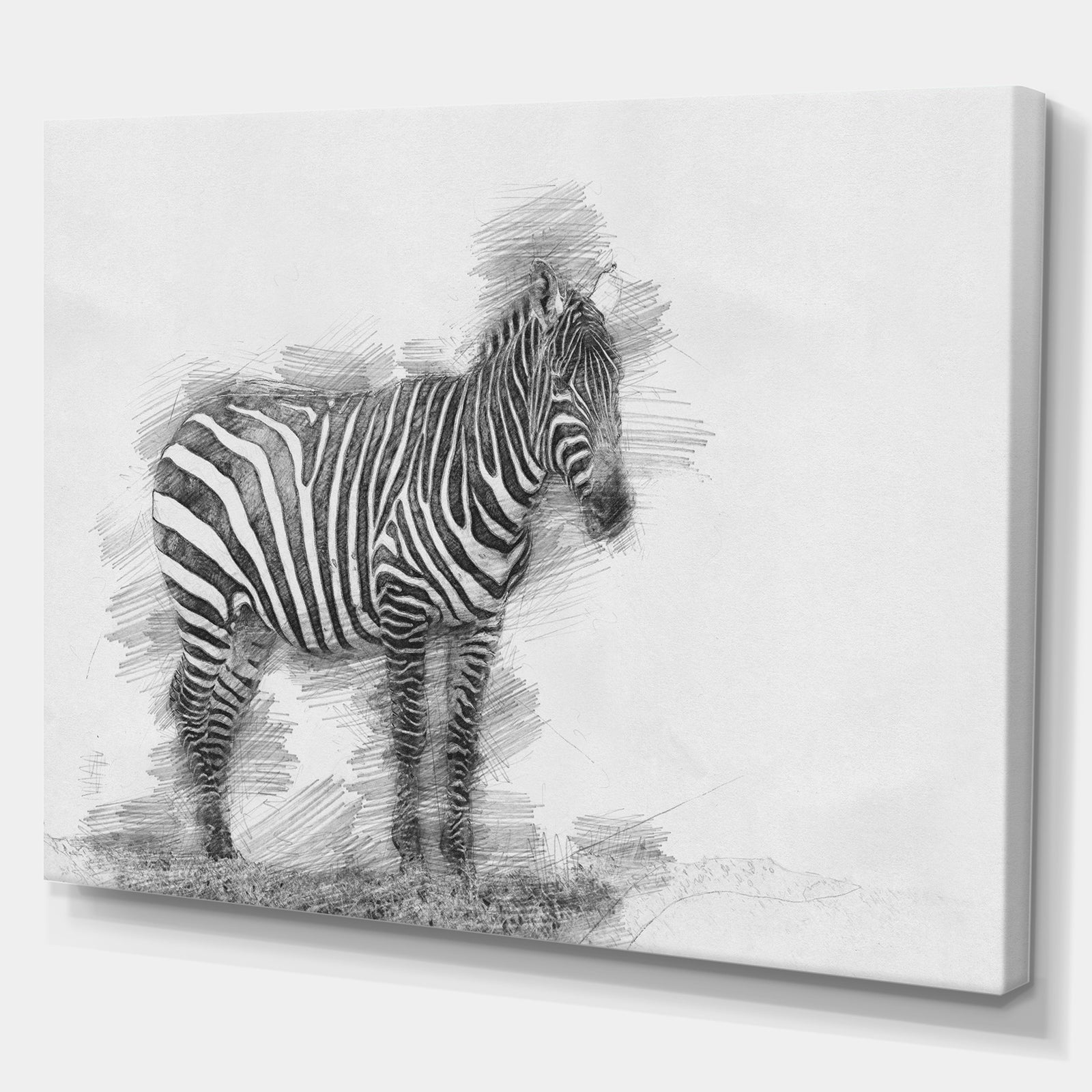 Black and White Zebra Sketch - Animals Painting Print on Wrapped Canvas