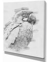 Black and White Parrot Pencil Sketch - Animals Painting Print on Wrapped Canvas