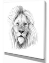 Pencil Lion Sketch in Black and White - Animals Painting Print on Wrapped Canvas