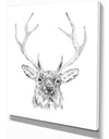 Pencil Deer Sketch in Black and White - Animals Painting Print on Wrapped Canvas