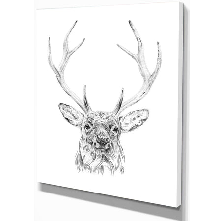 Pencil Deer Sketch in Black and White - Animals Painting Print on Wrapped Canvas