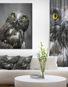 Own in Dark - Animals Painting Print on Wrapped Canvas