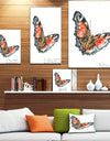 Colorful Butterfly - Animals Painting Print on Wrapped Canvas