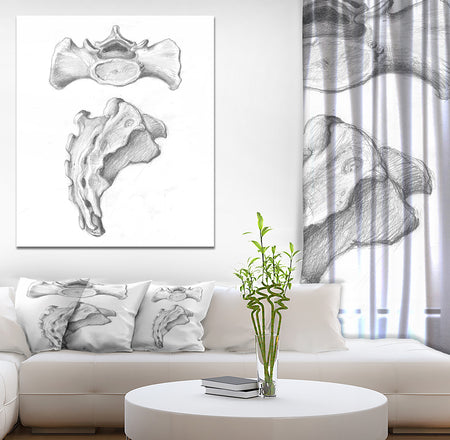 Two views of sacrum - Bones Painting Print on Wrapped Canvas