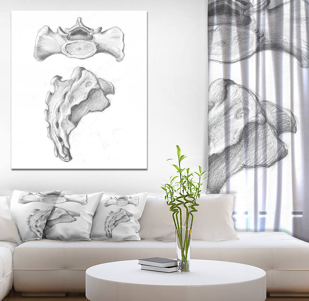 Two views of sacrum - Bones Painting Print on Wrapped Canvas