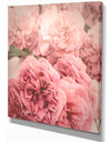 Vintage Style Romantic Roses - Floral photography on Wrapped Canvas