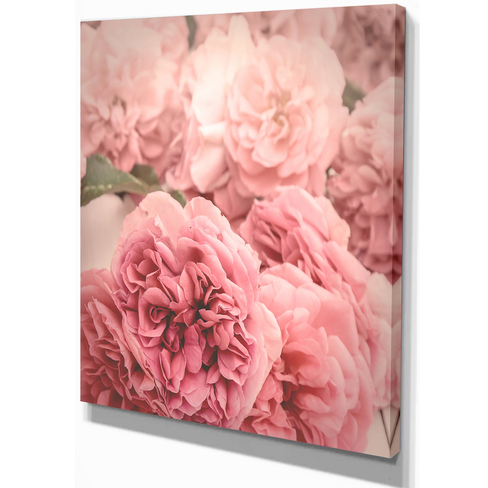 Vintage Style Romantic Roses - Floral photography on Wrapped Canvas