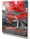 Red Fall Tree in Central Park - Floral photography on wrapped Canvas