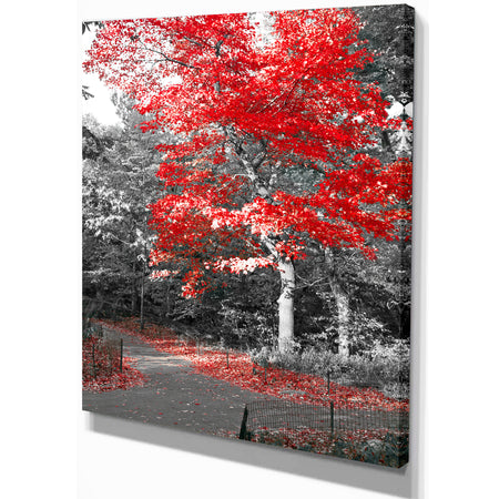 Red Fall Tree in Central Park - Floral photography on wrapped Canvas
