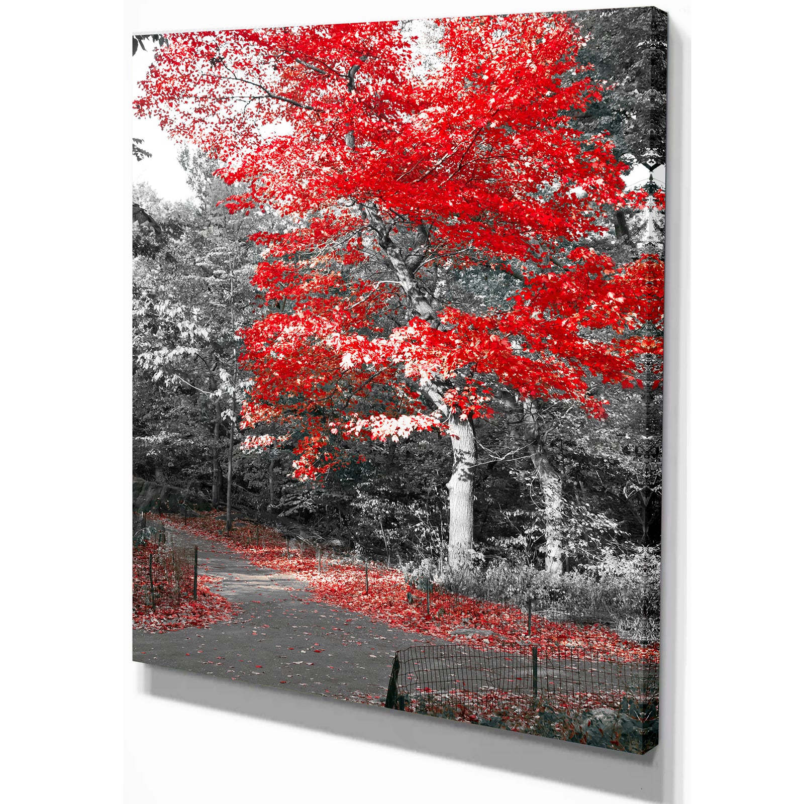 Red Fall Tree in Central Park - Floral photography on wrapped Canvas