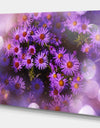 Purple Aster Flower Photograpy Art - Floral photography on wrapped Canvas