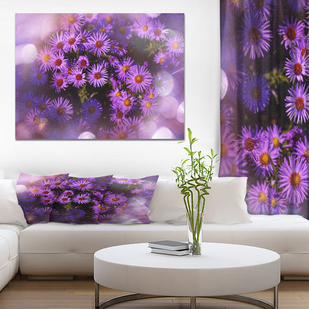 Purple Aster Flower Photograpy Art - Floral photography on wrapped Canvas
