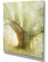 Vintage Forest - Landscapes Photography on wrapped Canvas