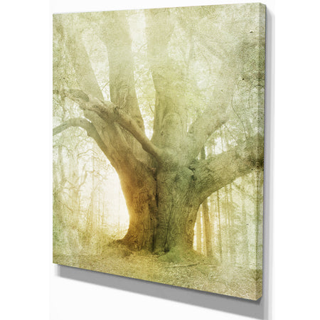 Vintage Forest - Landscapes Photography on wrapped Canvas