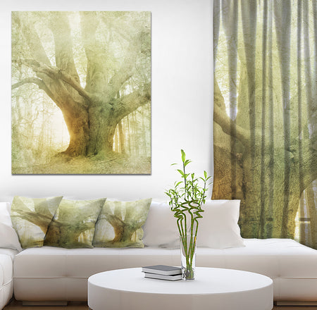 Vintage Forest - Landscapes Photography on wrapped Canvas