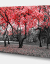 Red flower Trees Blossom - Floral Landscapes Photographic on wrapped Canvas