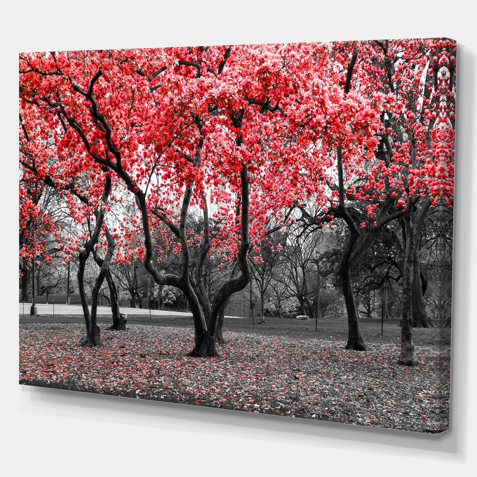 Red flower Trees Blossom - Floral Landscapes Photographic on wrapped Canvas