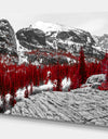 Red Forest in Colorado Rocky Mountains - Floral Landscapes Photographic on wrapped Canvas