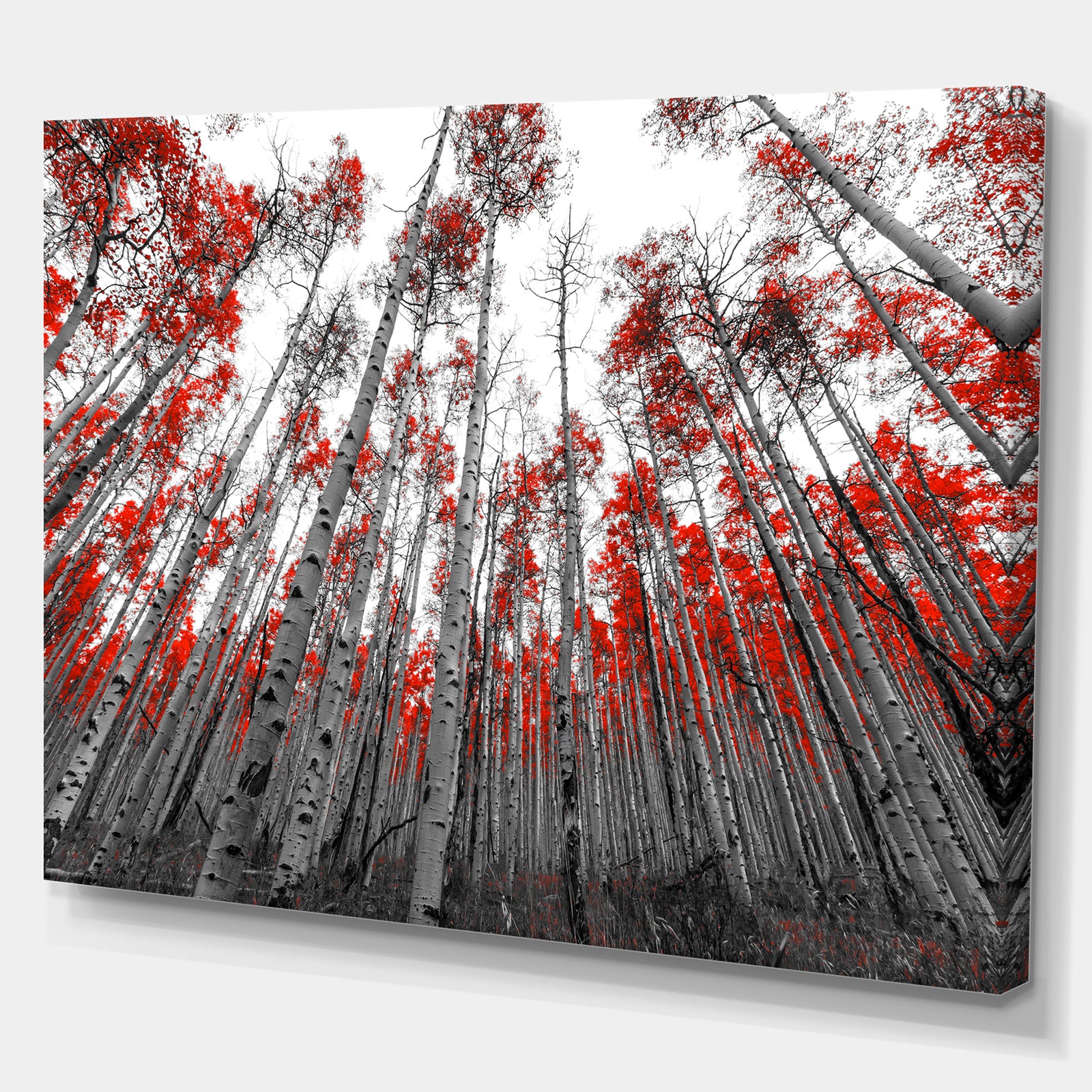 Red Leaf Trees in Tall Forest - Floral Landscapes Photographic on wrapped Canvas