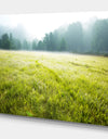 Summer meadow - Lake Landscapes Photographic on wrapped Canvas