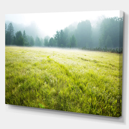 Summer meadow - Lake Landscapes Photographic on wrapped Canvas