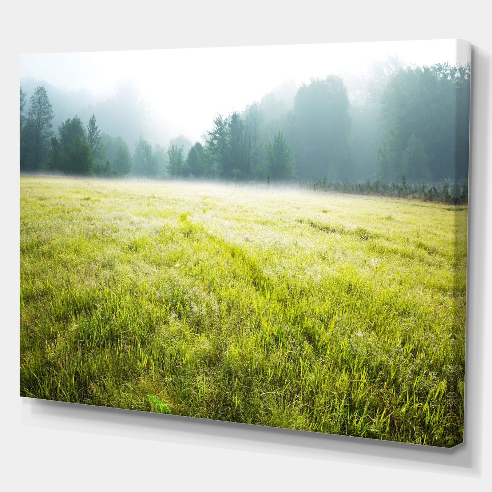 Summer meadow - Lake Landscapes Photographic on wrapped Canvas