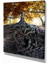 Old Tree in Czech Forest - Landscapes Contemporary on wrapped canvas