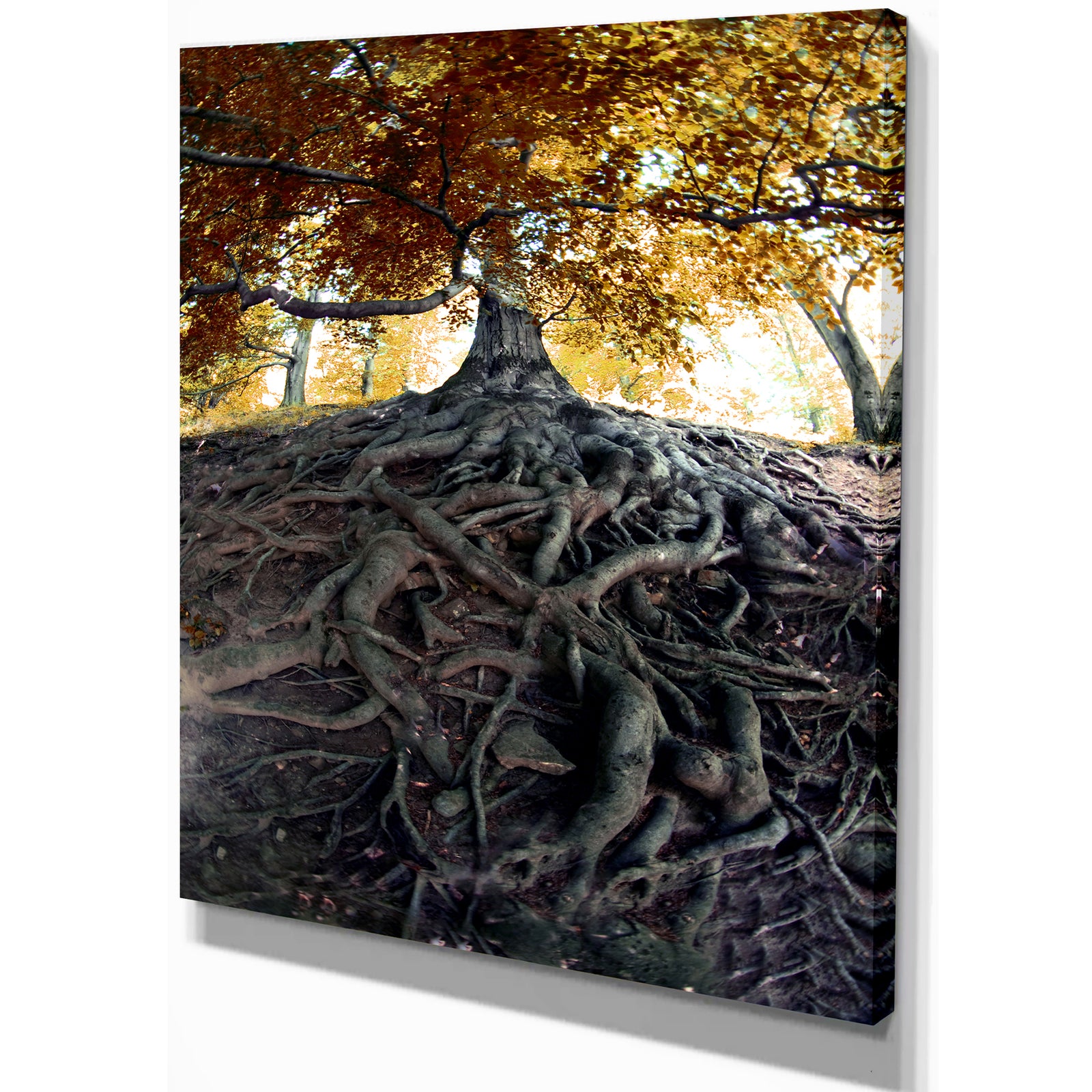 Old Tree in Czech Forest - Landscapes Contemporary on wrapped canvas