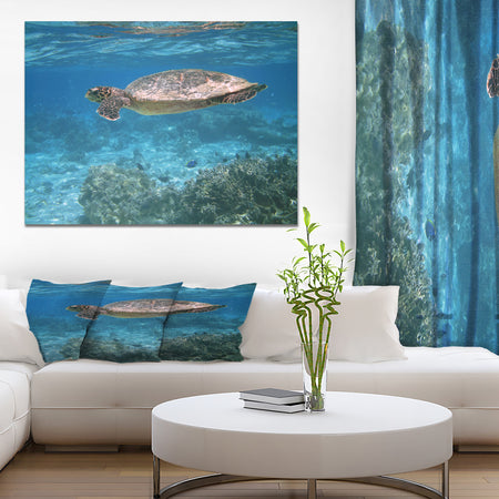 Sea turtle - Sea & Shore Nautical Photographic on wrapped Canvas