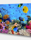 Coral Reef Coral Colony - Sea & Shore Nautical Photographic on wrapped Canvas