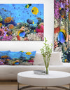 Coral Reef Coral Colony - Sea & Shore Nautical Photographic on wrapped Canvas