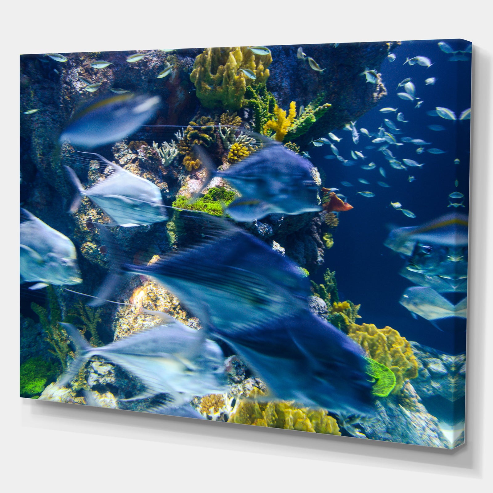Coral reef Blur in Motion - Sea & Shore Nautical Photographic on wrapped Canvas
