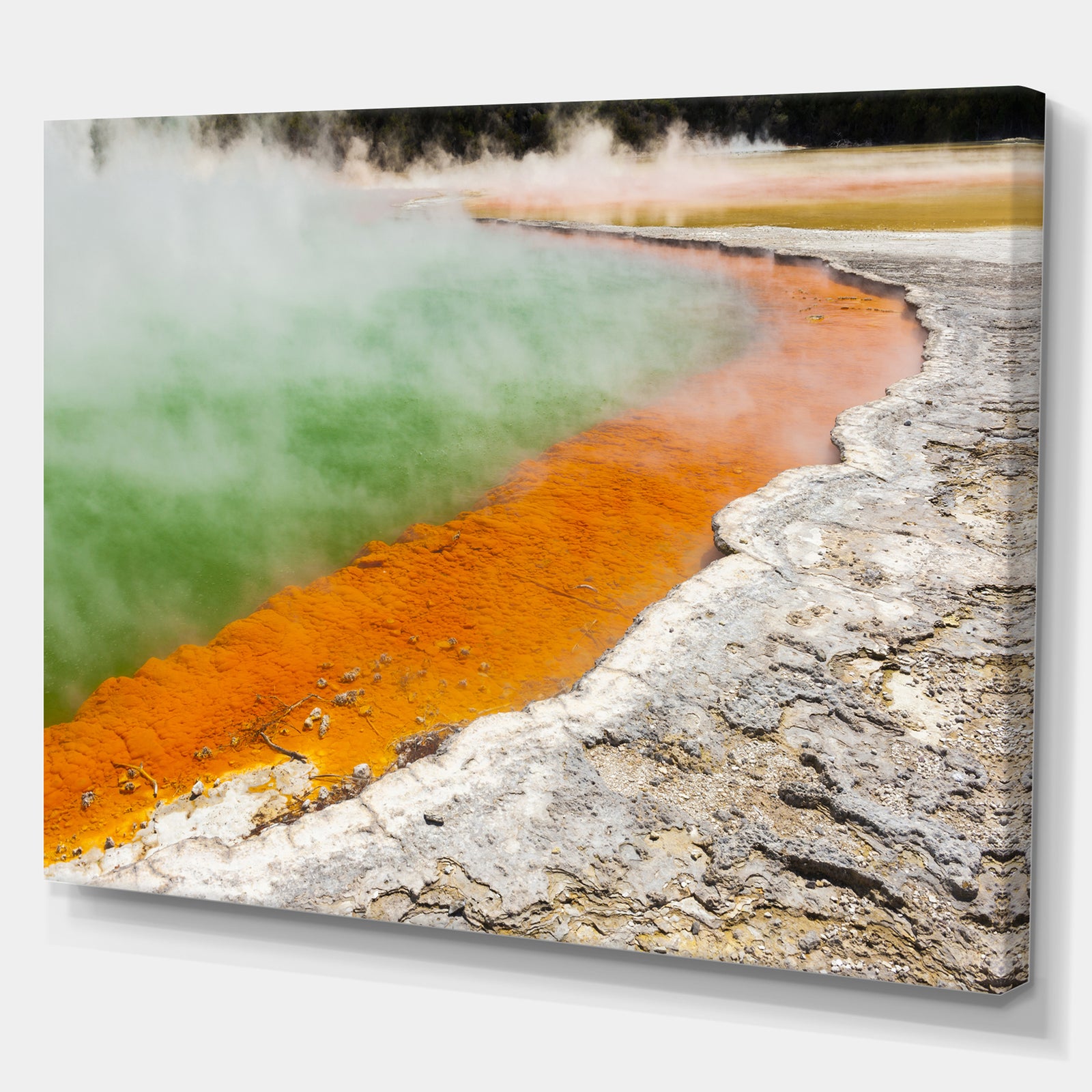 New Zealand Champagne Pool - Landscapes Sea & Shore Photographic on wrapped Canvas