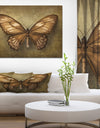 Vintage Butterfly - Vintage Painting Print on Wrapped Canvas