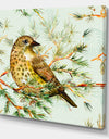 Small Cute Bird on Pine Branch - Animals Canvas Art
