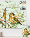 Small Cute Bird on Pine Branch - Animals Canvas Art