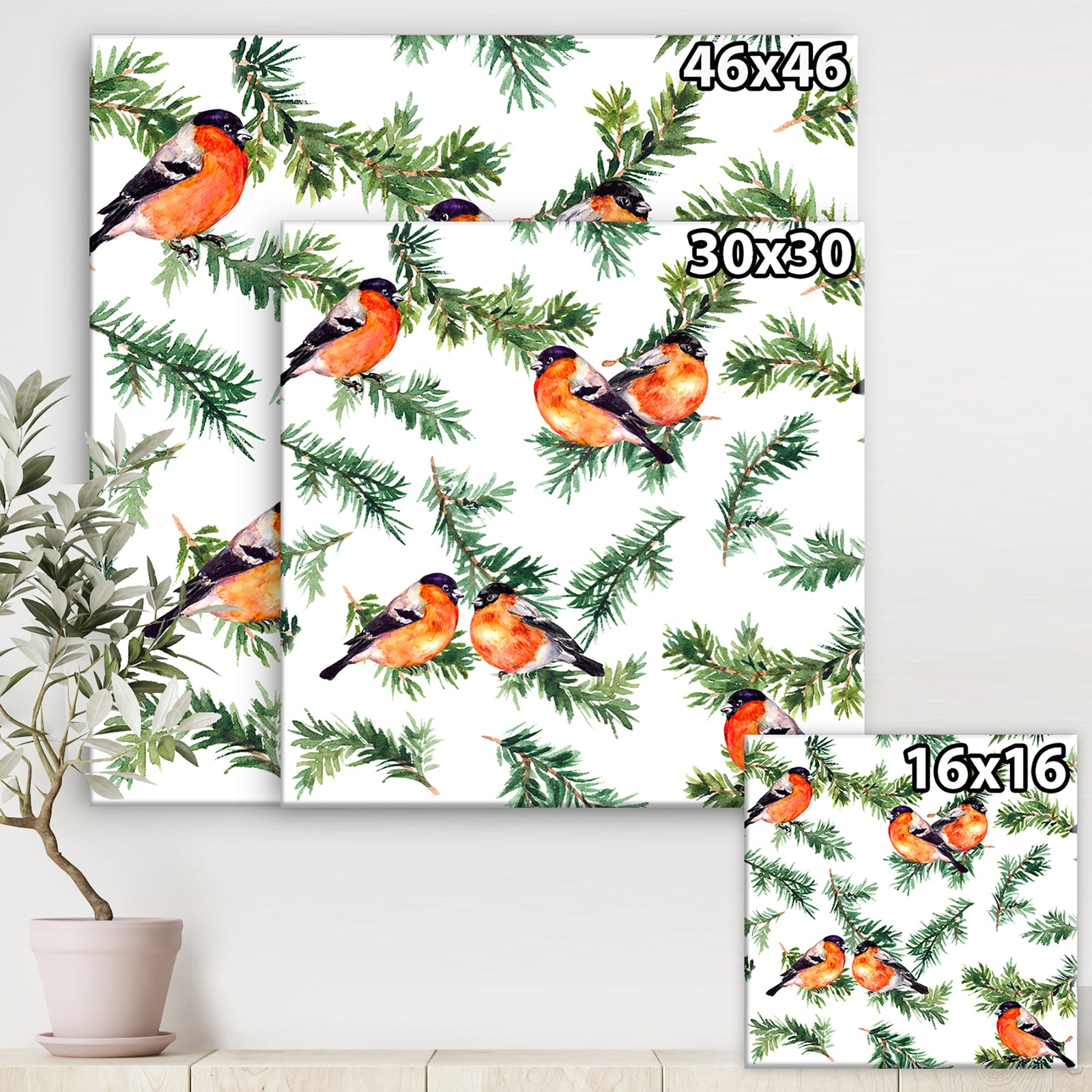 Robin Birds On Pine Branch - Animals Gallery-wrapped Canvas