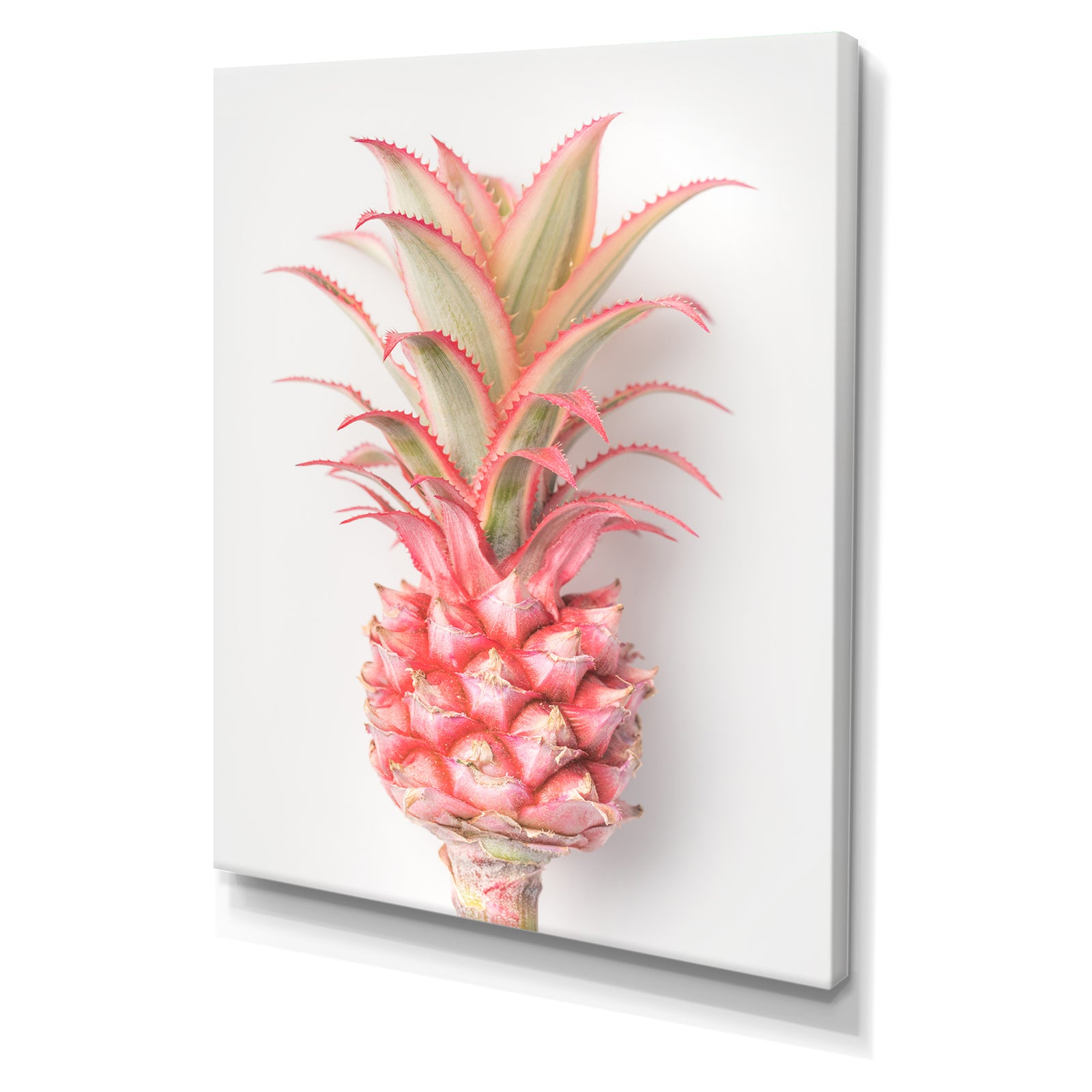 Pineapple - Tropical Canvas Wall Art