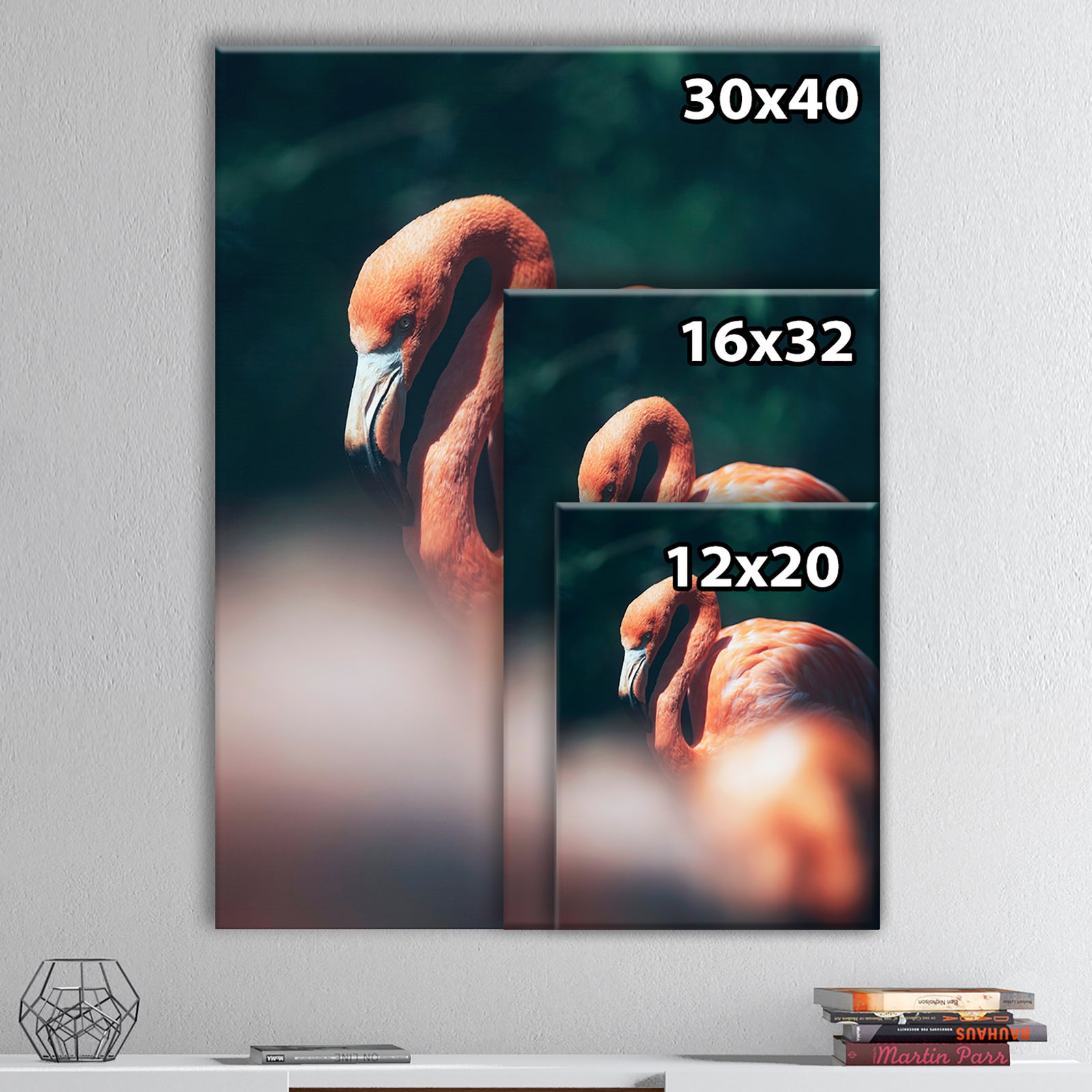American flamingo in between vegetation sunlight. - Tropical Canvas Wall Art