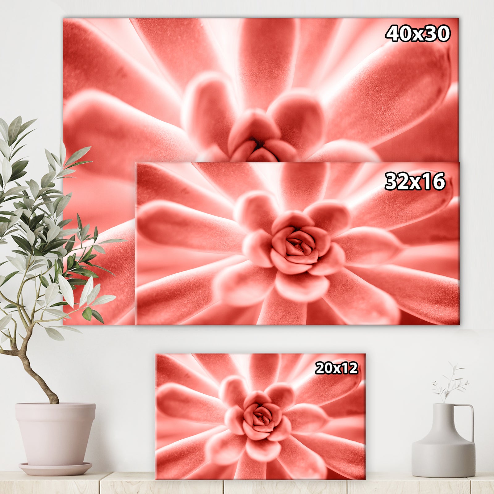 Succulent plant in Living coral - Tropical Canvas Wall Art