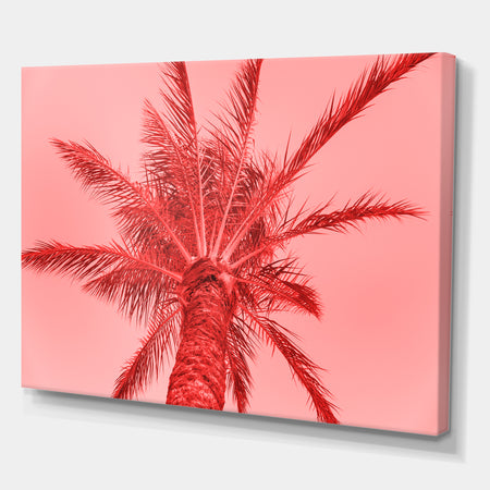 Palm tree on summer card - Tropical Canvas Wall Art