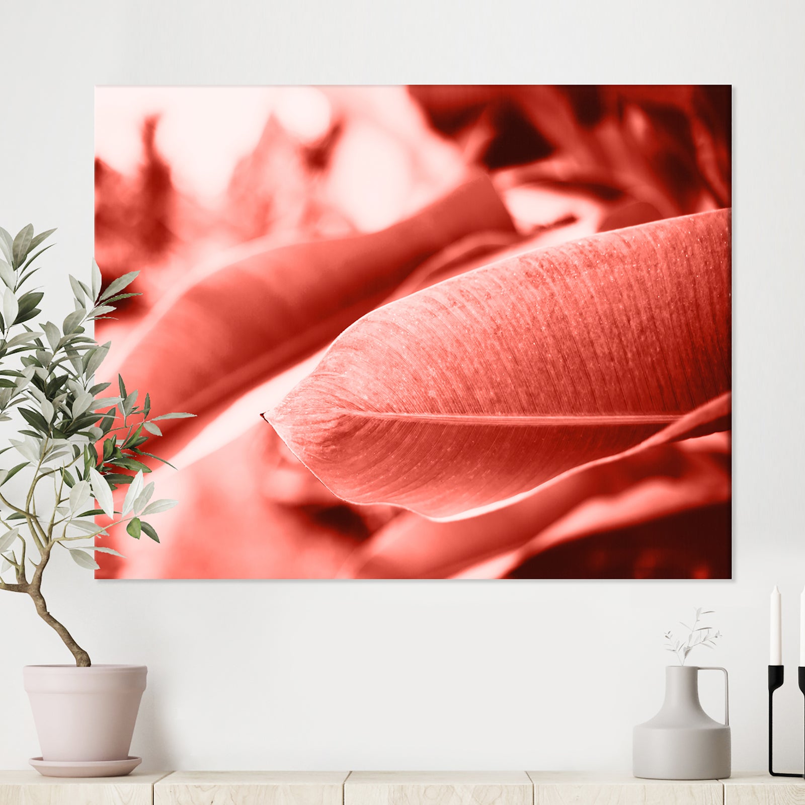 Living Coral - Tropical Canvas Wall Art