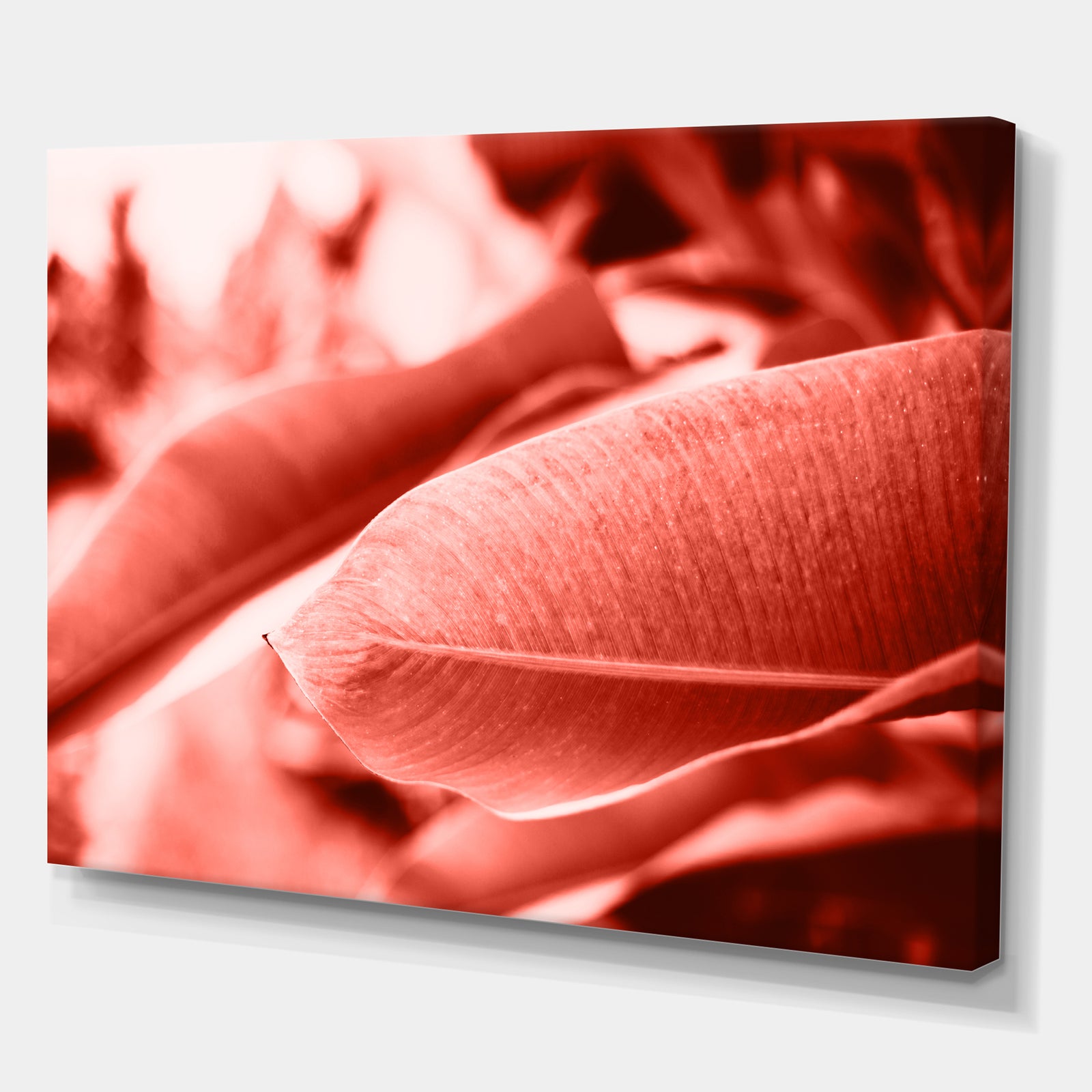 Living Coral - Tropical Canvas Wall Art
