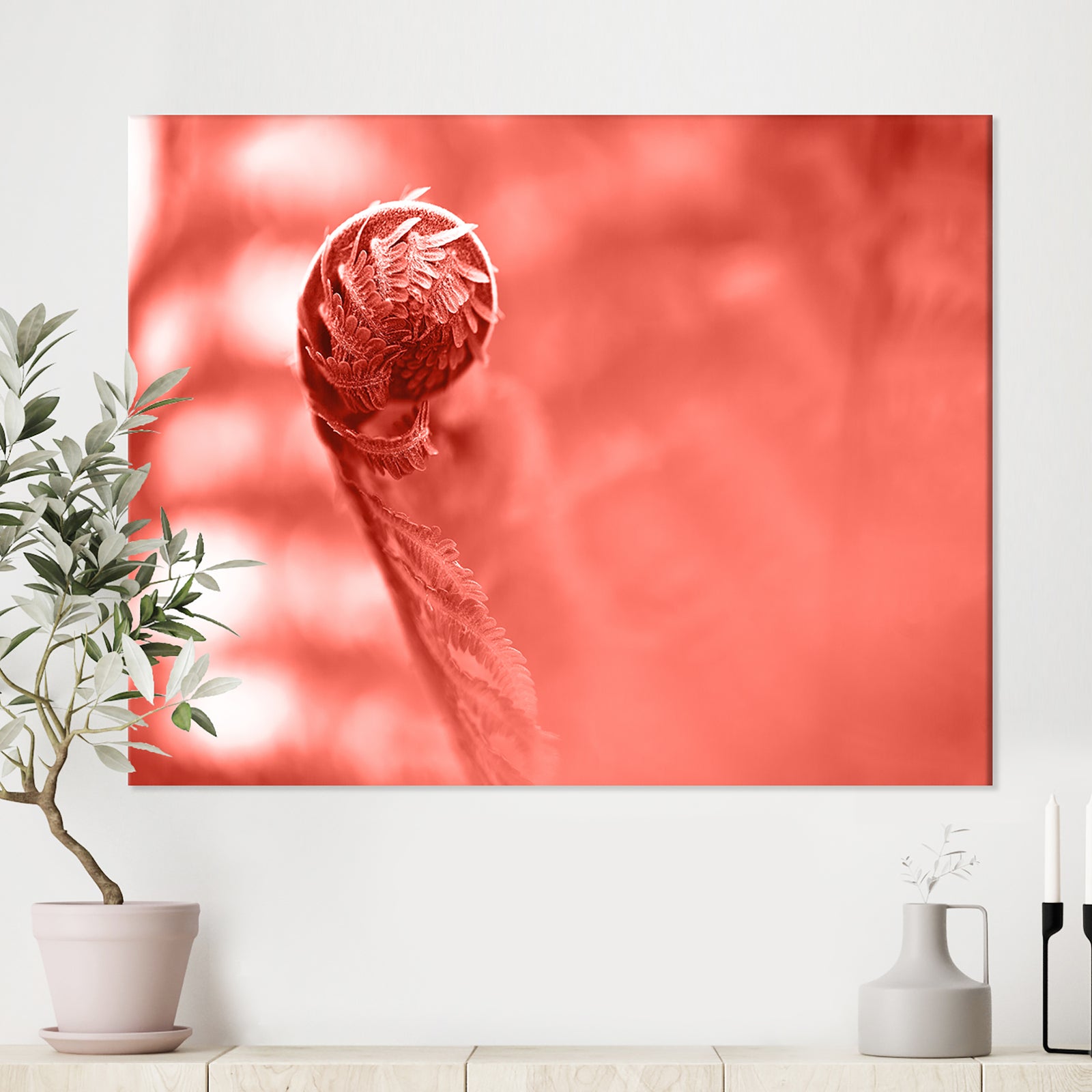 Spiral of young fern in spring, close-up - Tropical Canvas Wall Art