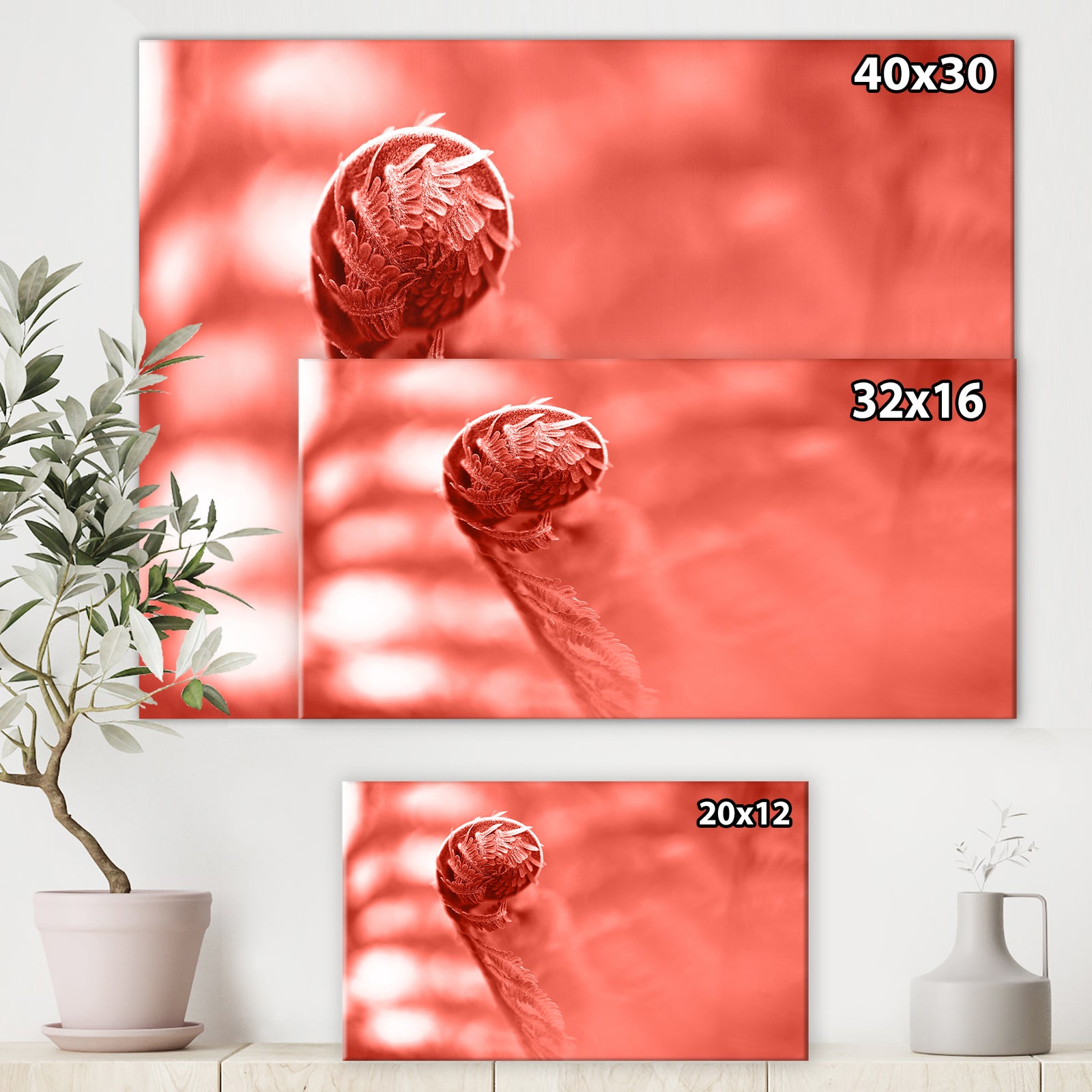 Spiral of young fern in spring, close-up - Tropical Canvas Wall Art